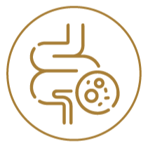 Gut Health